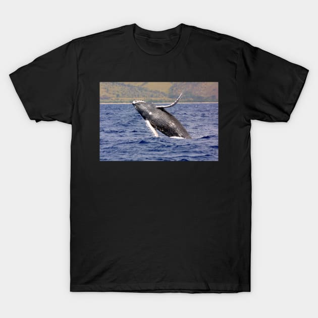 Humpback whale Jumping T-Shirt by Bravuramedia